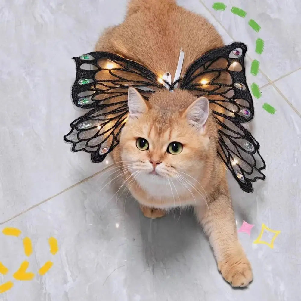 Glowing Butterfly Wings Pet Accessory