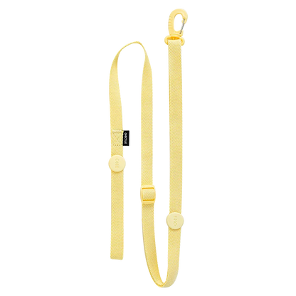 Macaron Dog Harness, Collar & Leash Set