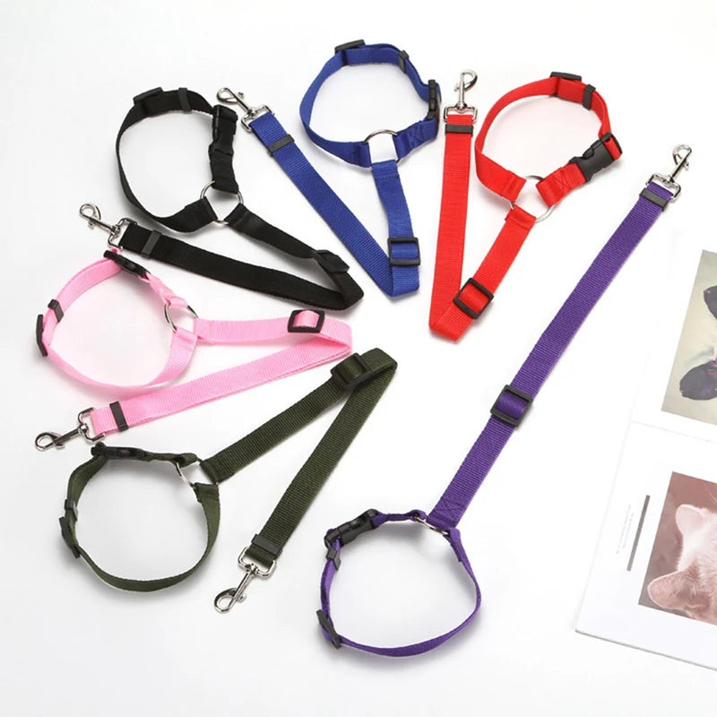 2-in-1 Dog Car Seat Belt & Leash