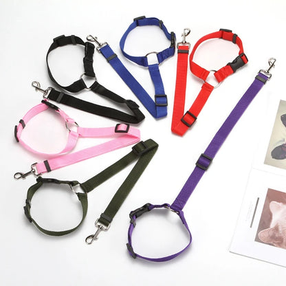 2-in-1 Dog Car Seat Belt & Leash