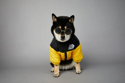 Puppy Down Jacket