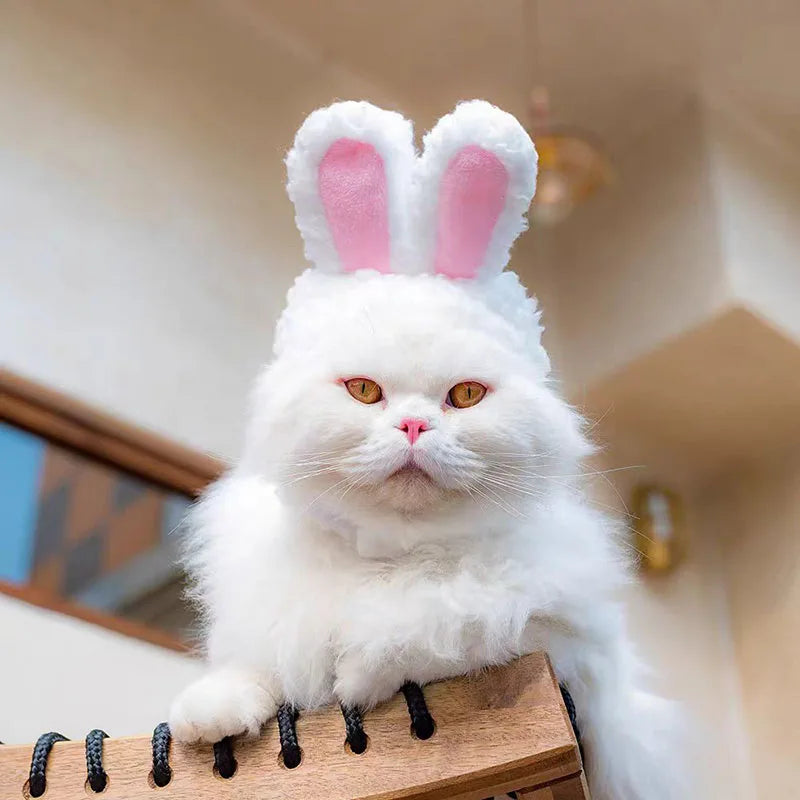 Bear & Rabbit Hooded Pet Hat