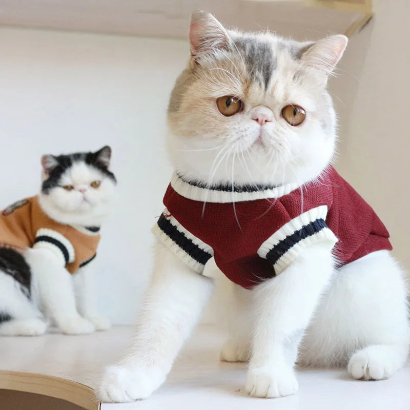 Winter Knit Pet Pullover