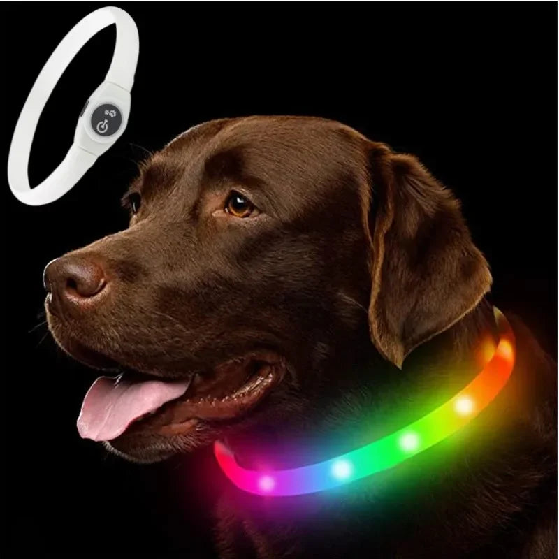 LED Light-Up Dog Collar