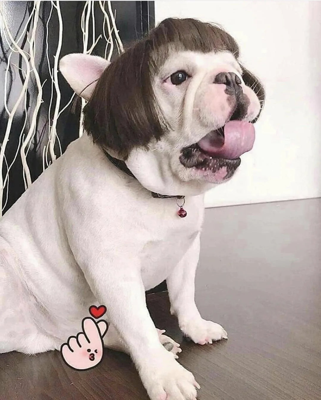 Funny Dog Cosplay Wig