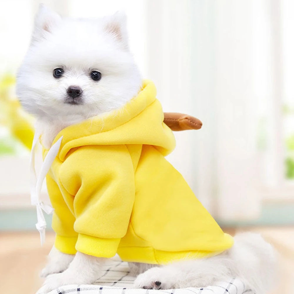 Pet Clothes Dog Hooded Sweatshirt Fruit Warm Coat Cat Sweater Winter Chihuahua Costume for Puppy Small Medium Dogs Cat Clothes