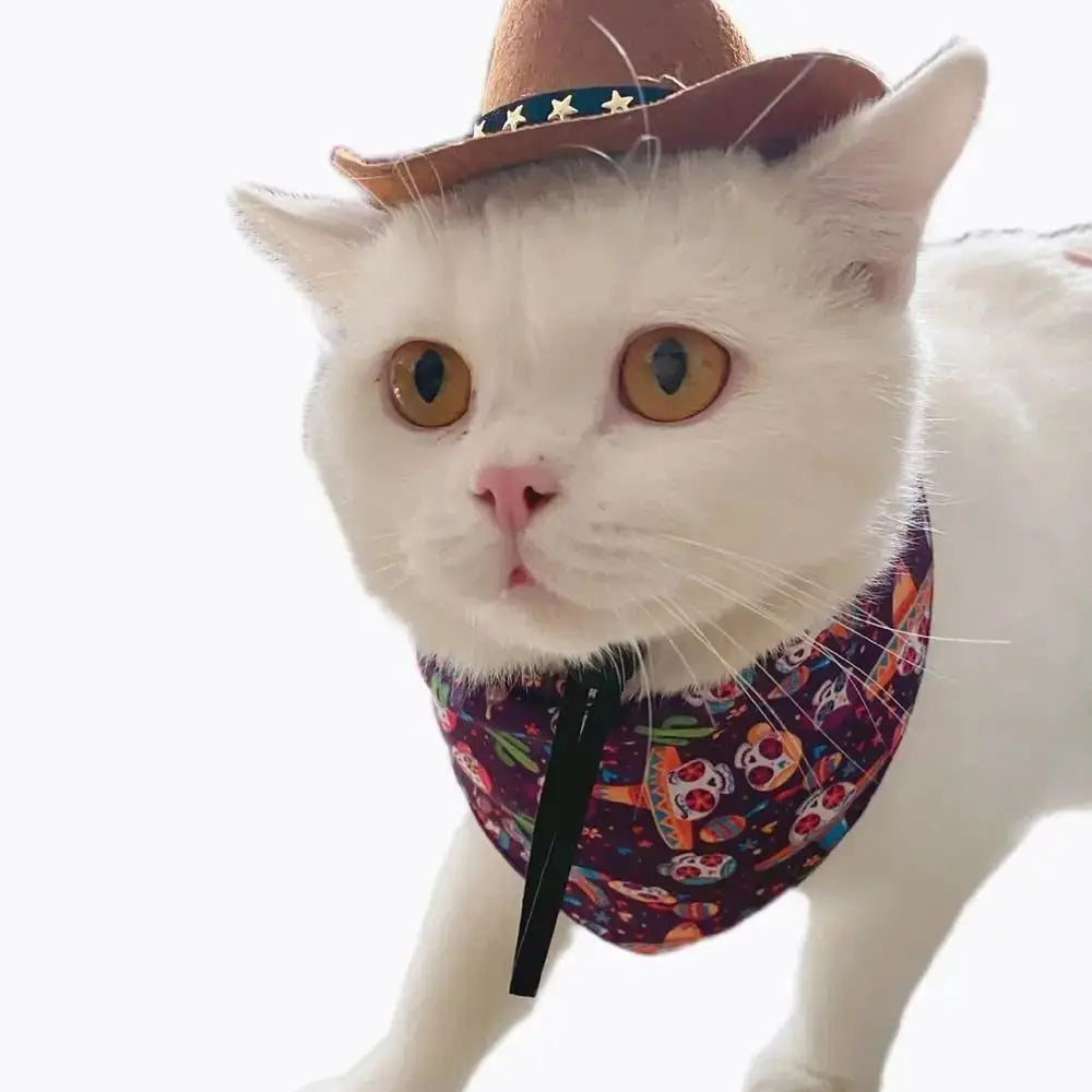 Dog Cowboy Hat