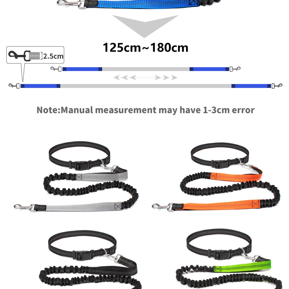 Hands-Free Dog Leash with Waist Belt