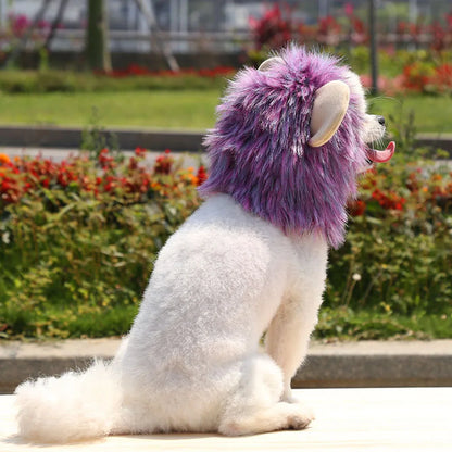 Lion Mane Costume Hat for Cats & Dogs