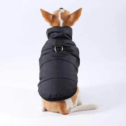 Windproof Padded Winter Dog Coat