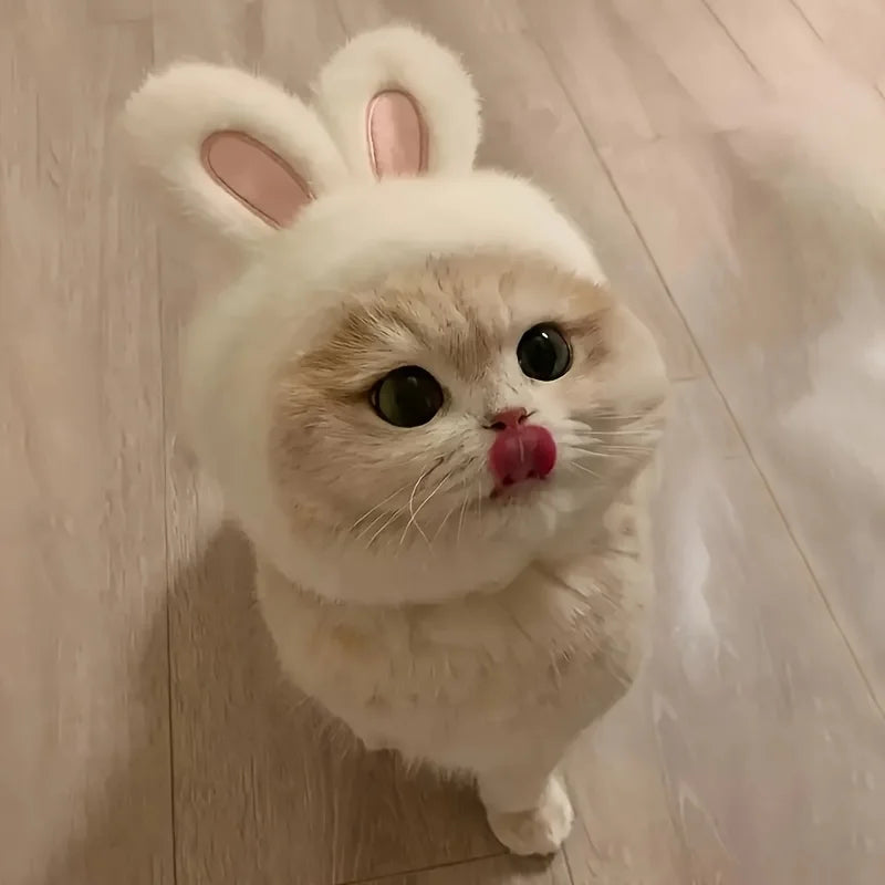 Knit Bunny Ears Hat for Cats & Dogs