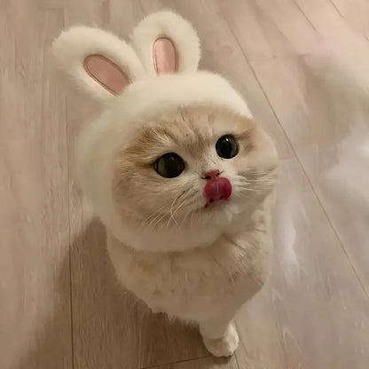 Knit Bunny Ears Hat for Cats & Dogs
