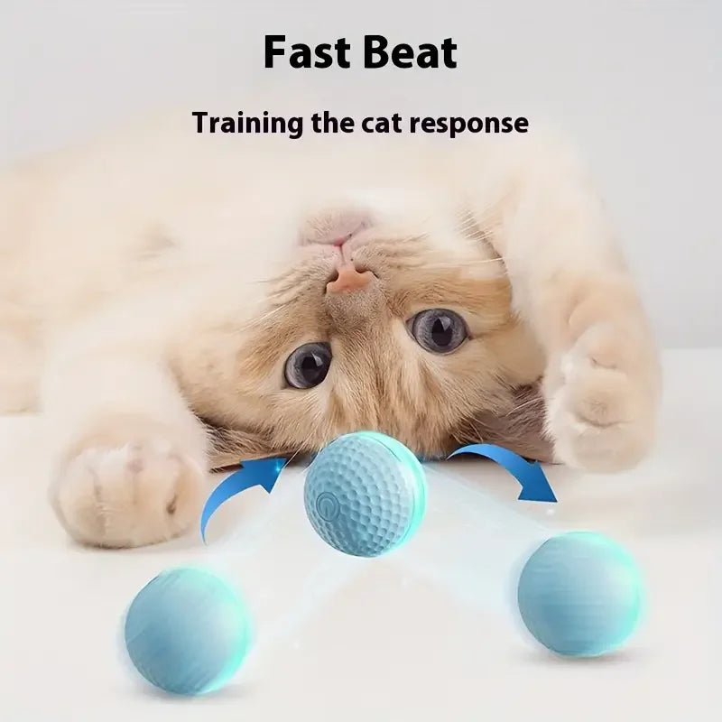 Automatic Rolling Cat Ball