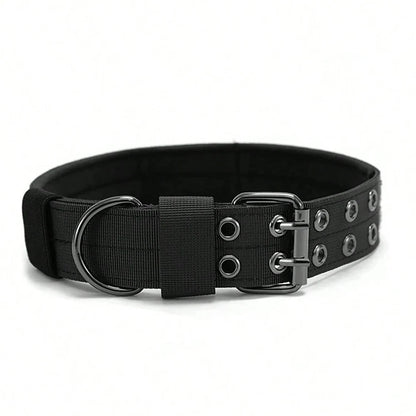 Military-Style Adjustable Dog Collar