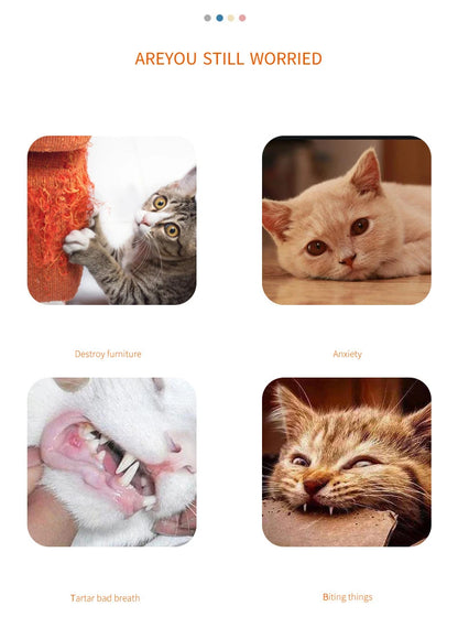 Carrot Paper-Rope Cat Chew