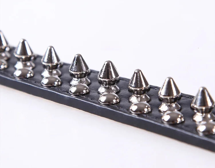 Spiked Leather Dog Collar