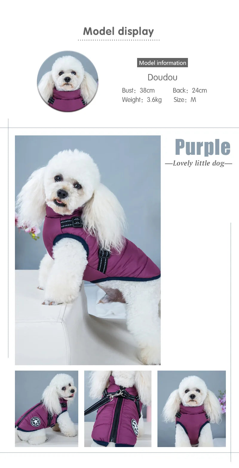 Winter Dog Jacket with Built-In Harness