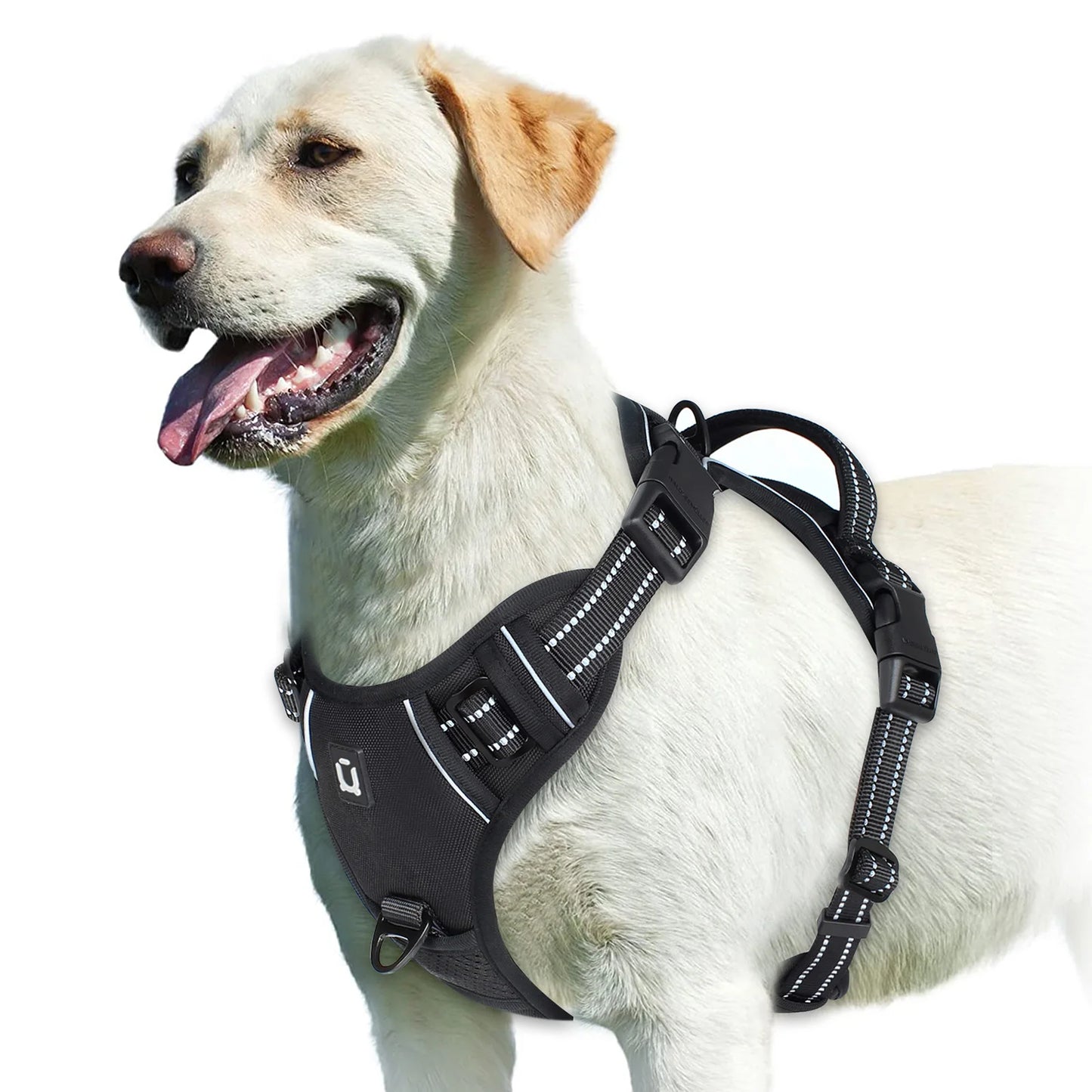 Padded No-Pull Dog Harness