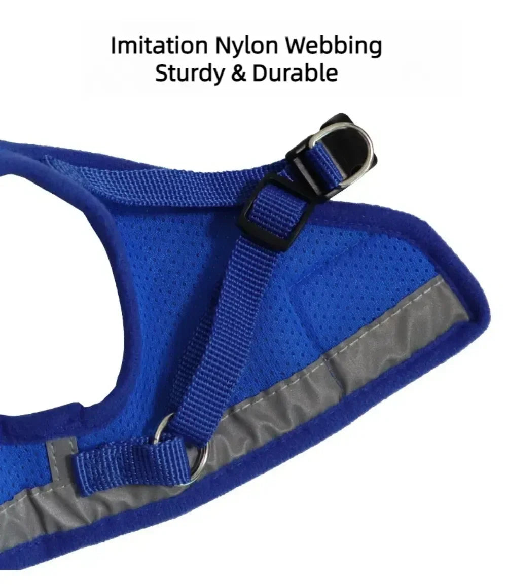 Reflective Escape-Proof Cat Harness Set