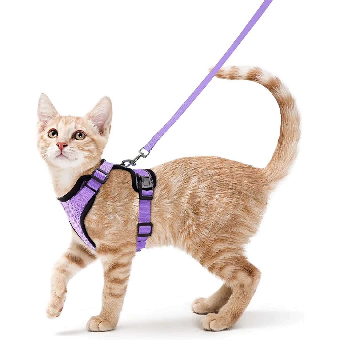 Soft Escape-Proof Cat Harness & Leash