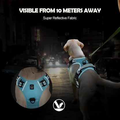 Padded No-Pull Dog Harness