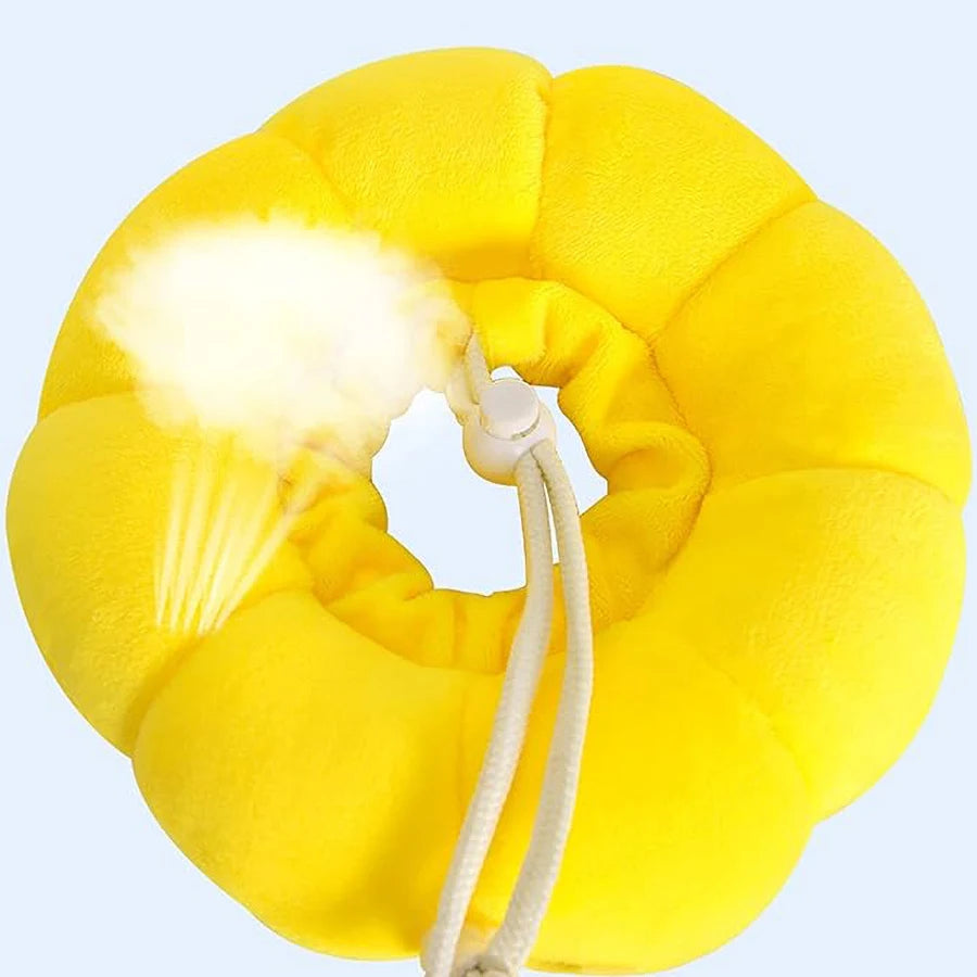 Flower Cat Recovery Collar