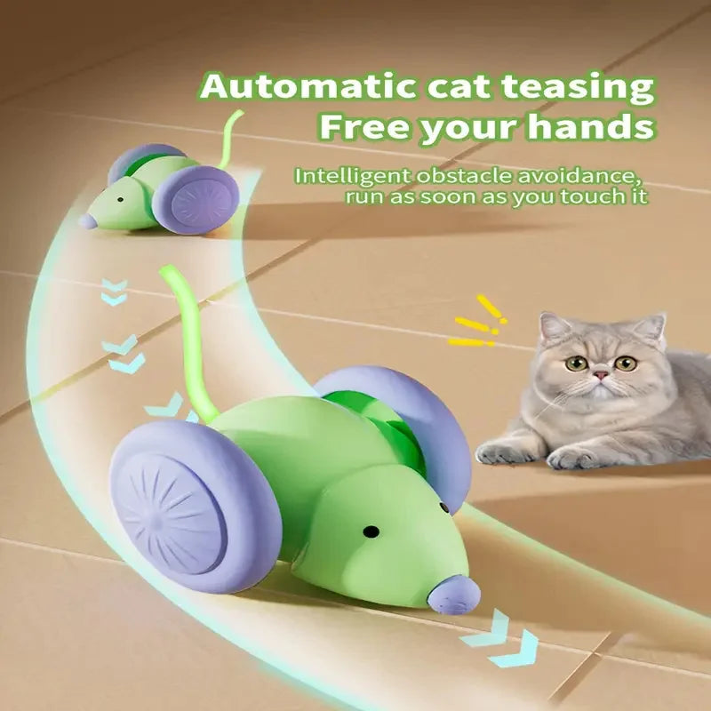 Automatic Rolling Cat Ball