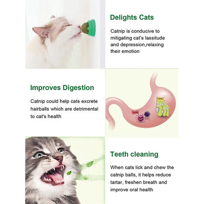 Lickable Catnip Ball Treats