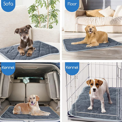 Self-Heating Thermal Pet Pad