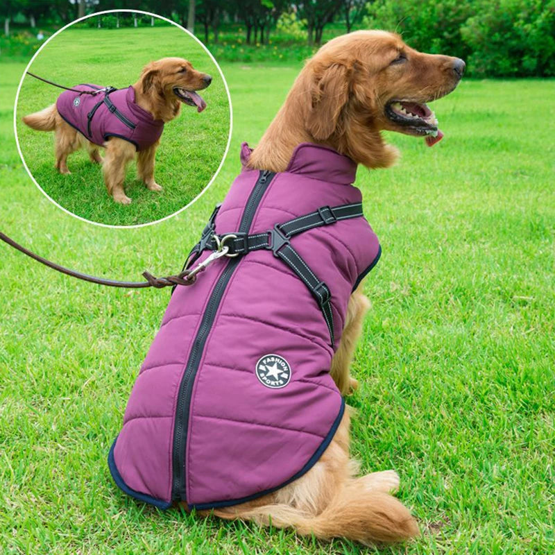 Winter Dog Jacket with Built-In Harness