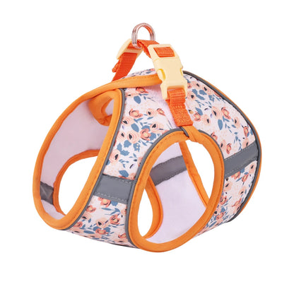 Small Dog Harness & Leash Set