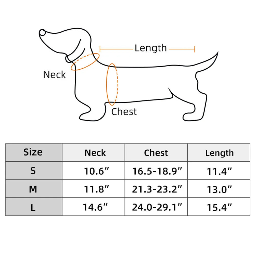 Dog IVDD Back Brace & Support