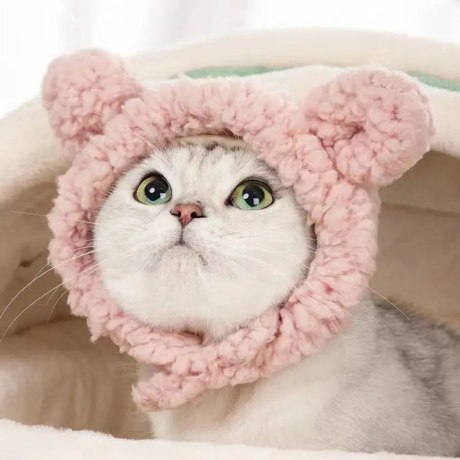 Bear & Rabbit Hooded Pet Hat