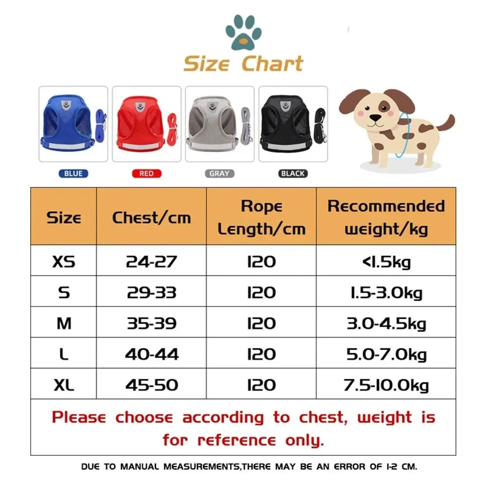 Reflective Escape-Proof Cat Harness Set
