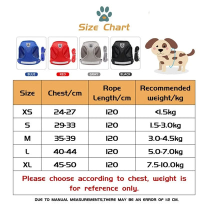 Reflective Escape-Proof Cat Harness Set
