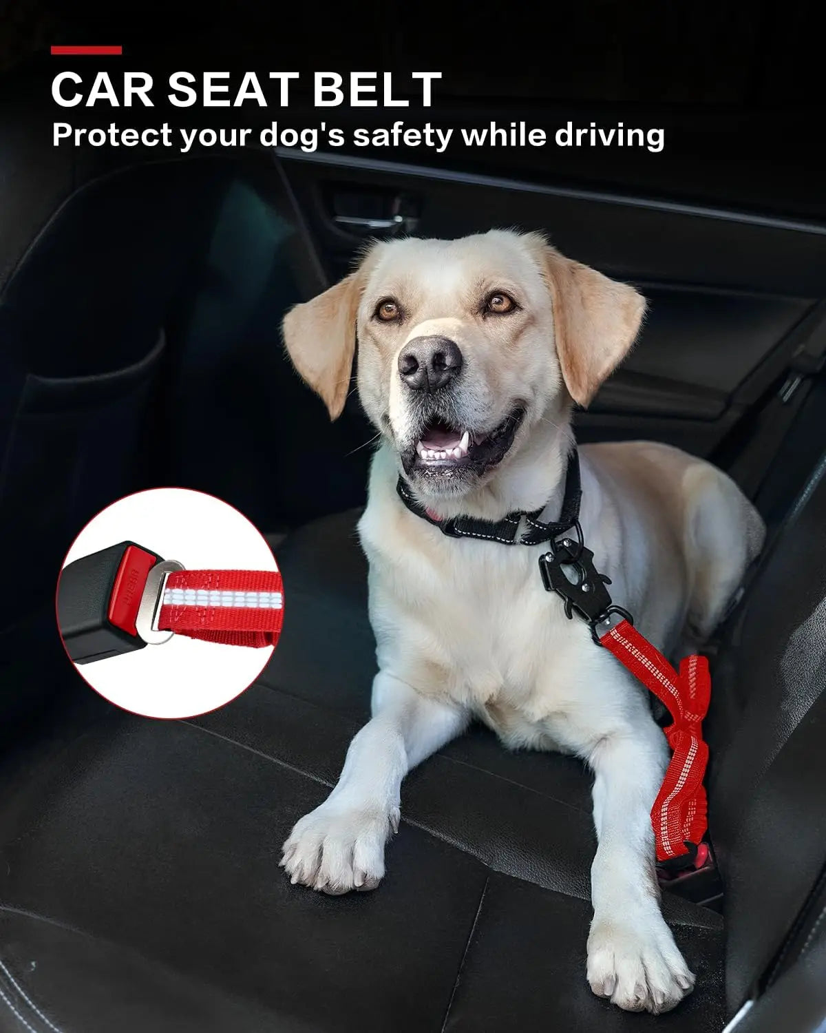 Tactical Bungee Dog Leash