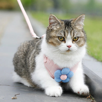 Adjustable Breathable Dog & Cat Harness Set