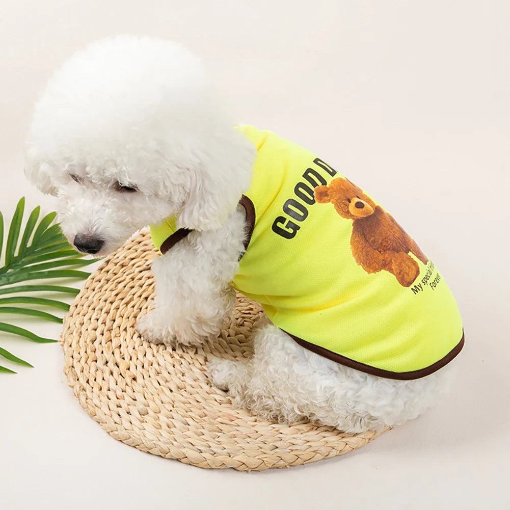Bear-Print Dog & Cat Tee