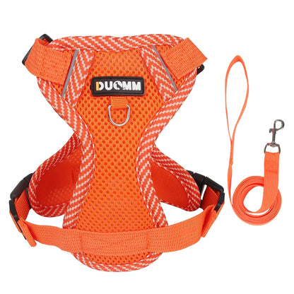 Reflective Mesh Cat Harness & Leash Set