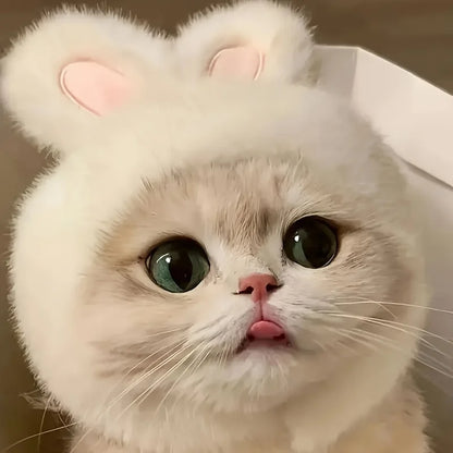 Knit Bunny Ears Hat for Cats & Dogs