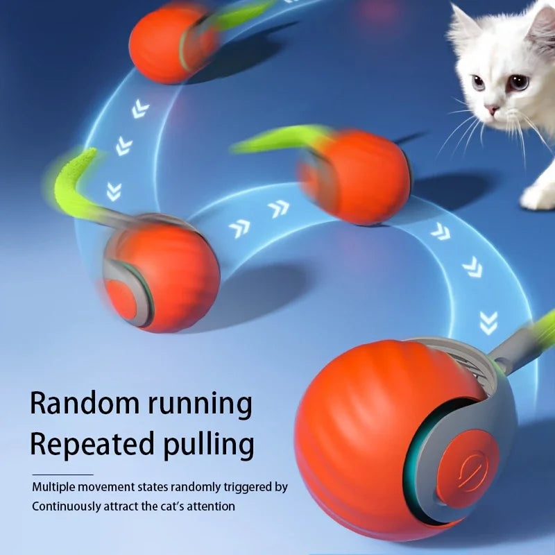 Automatic Rolling Cat Ball