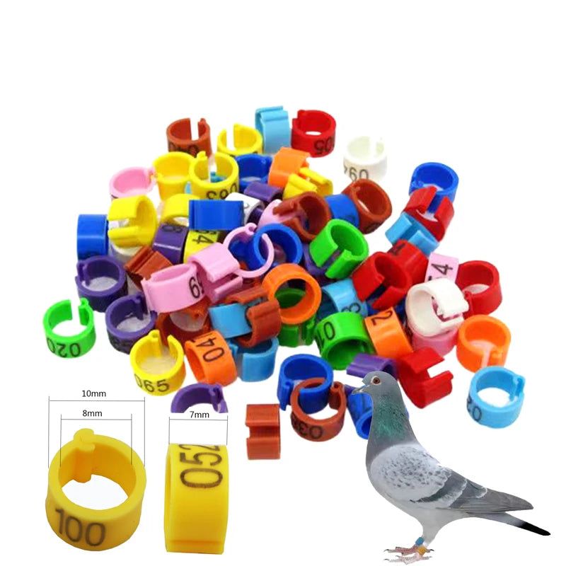 Bird Leg Bands (100pc, 8mm)