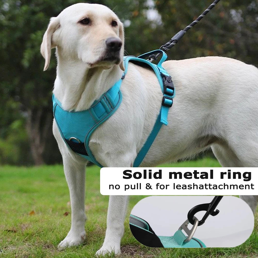Dog Harness & Leash Set with AirTag Holder