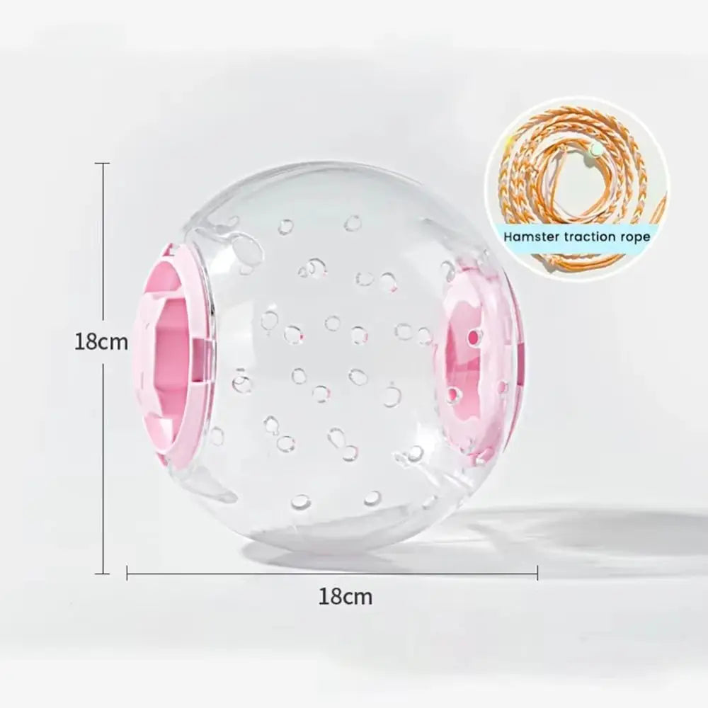 Hamster Exercise Ball
