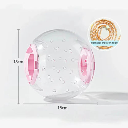 Hamster Exercise Ball