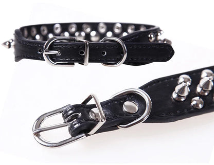 Spiked Leather Dog Collar