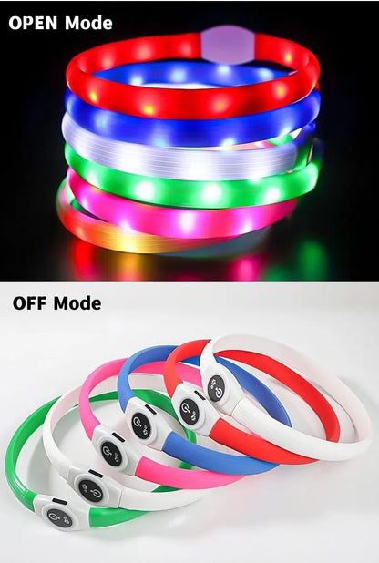 LED Light-Up Dog Collar