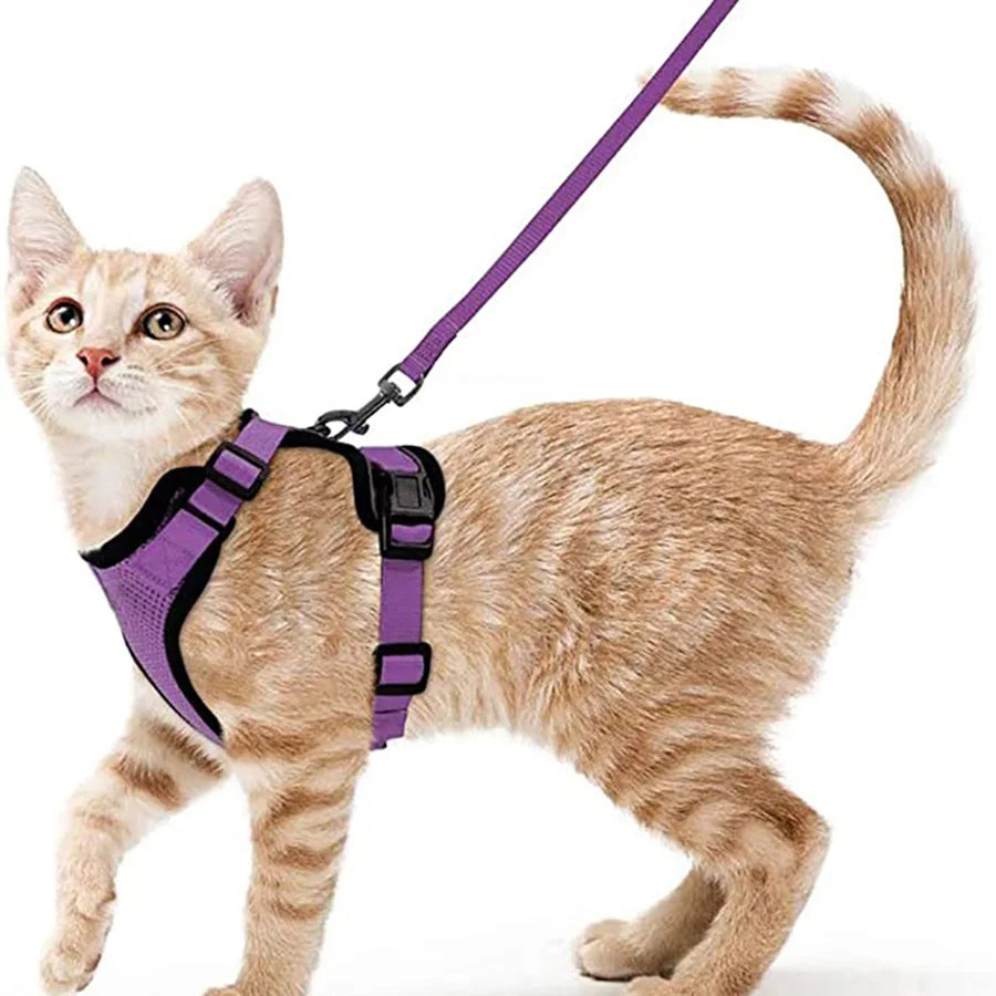 Soft Escape-Proof Cat Harness & Leash