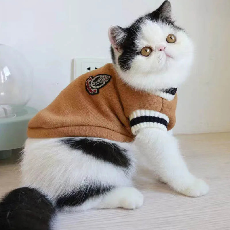 Winter Knit Pet Pullover