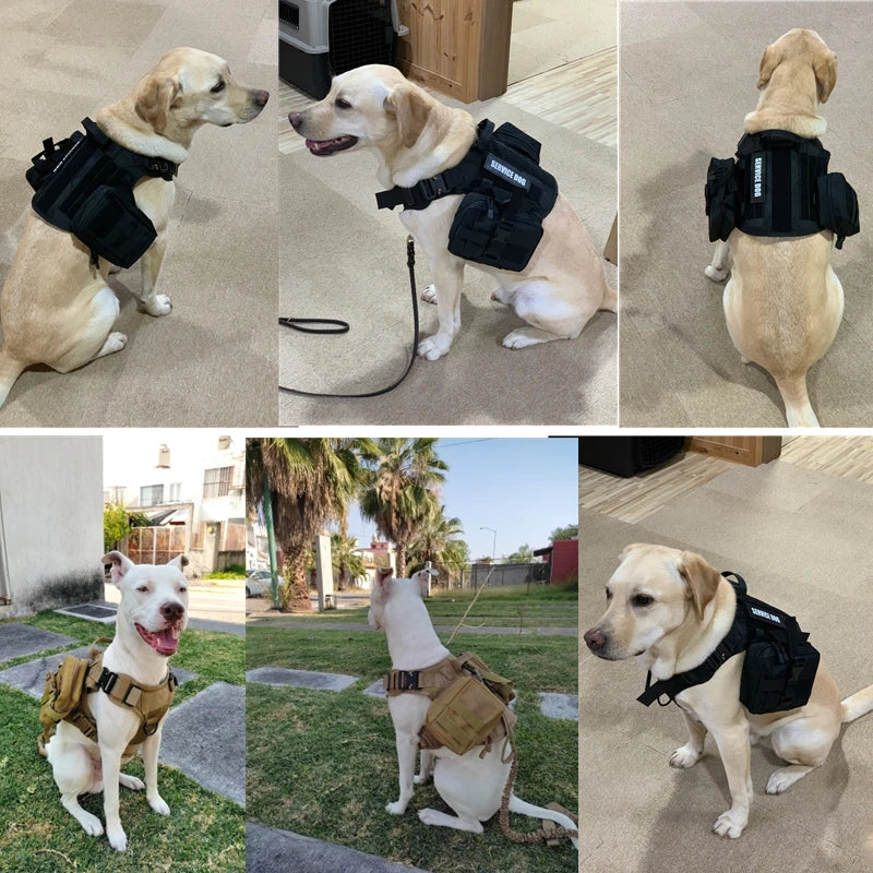 Tactical Dog Vest Harness & Leash Set